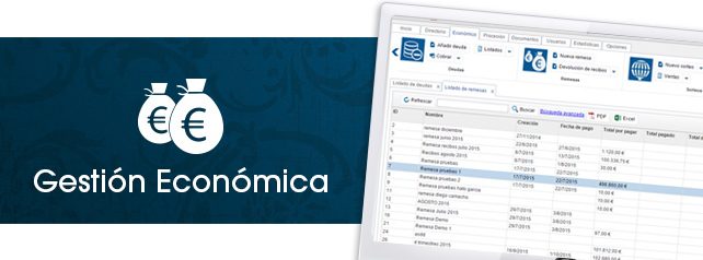 gestion economica